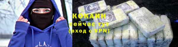 крисы Козловка