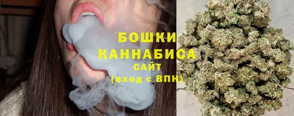 крисы Козловка