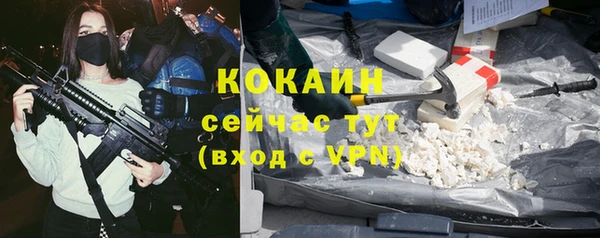 крисы Козловка