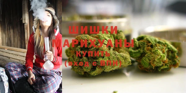крисы Козловка